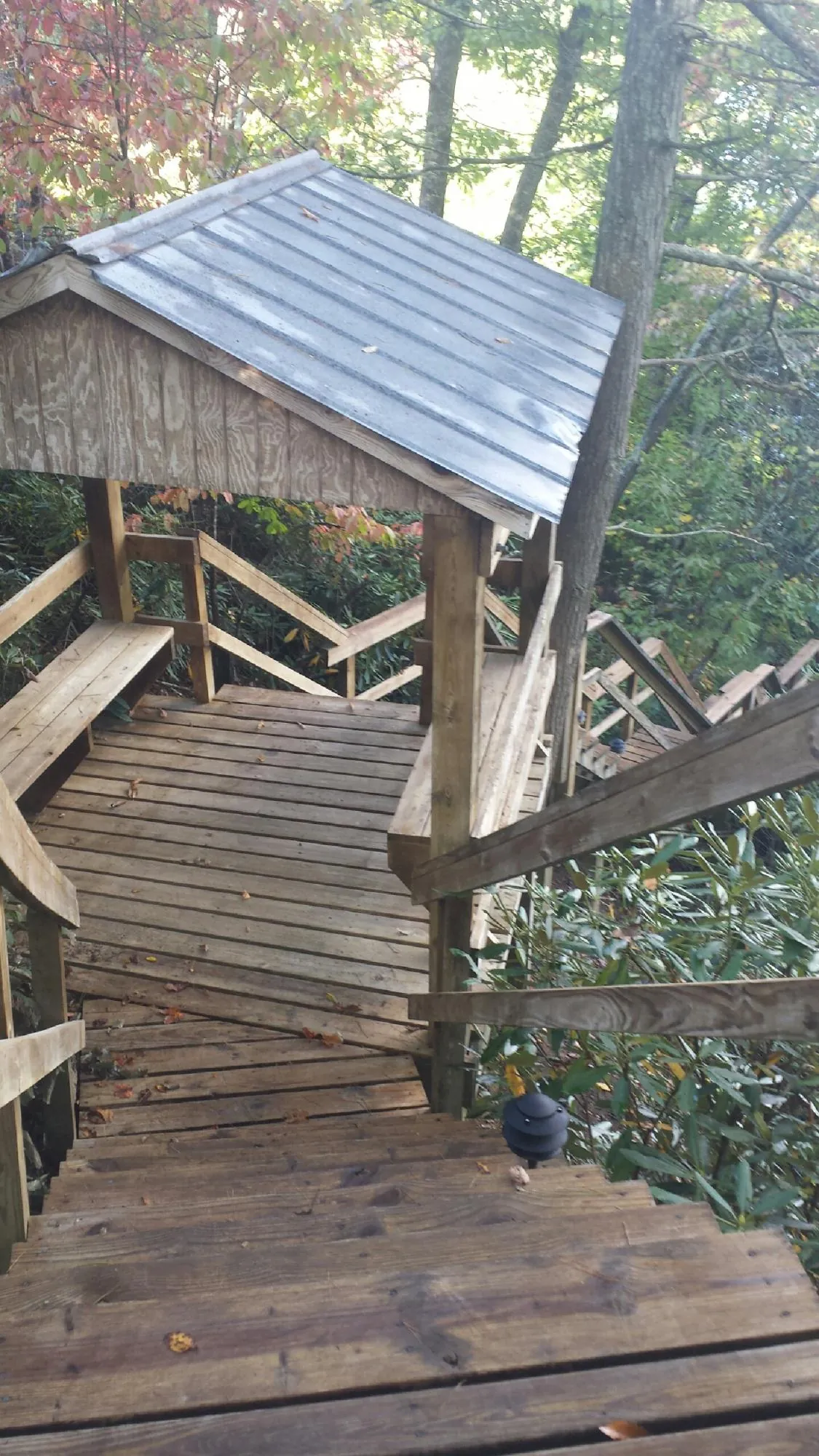 Metal roofed shelter over wooden steps on a wooded walkway — Skylight Repair & Installation work by our crew in Wisner